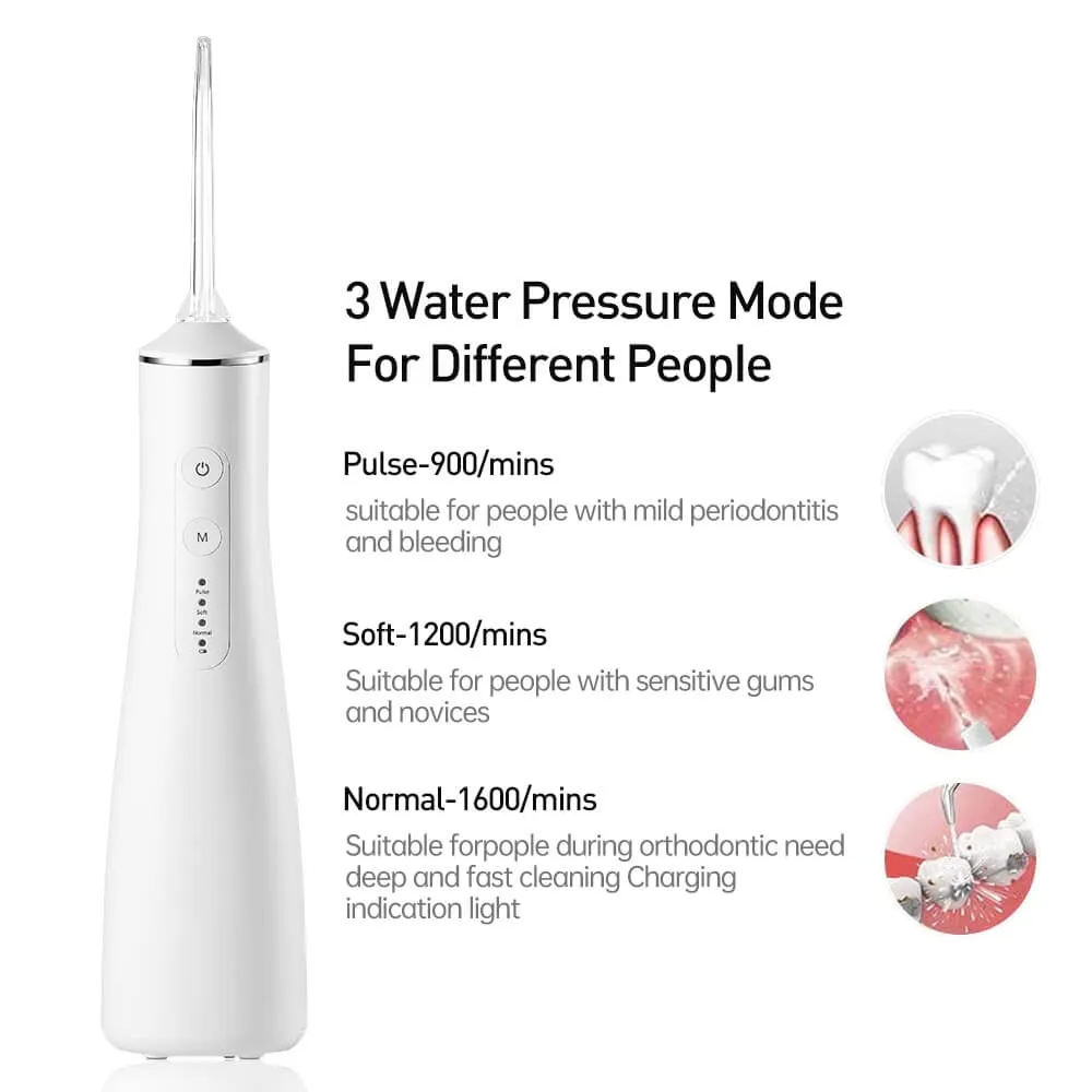 LD1 Portable Rechargeable Dental Water Flosser