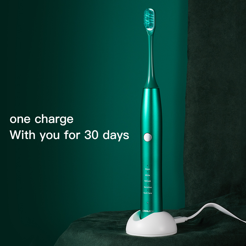 OEM Waterproof Whitening Oral Care Sonic Toothbrush Soft Replacement Heads USB Charge Smart Electric Toothbrush for Adults
