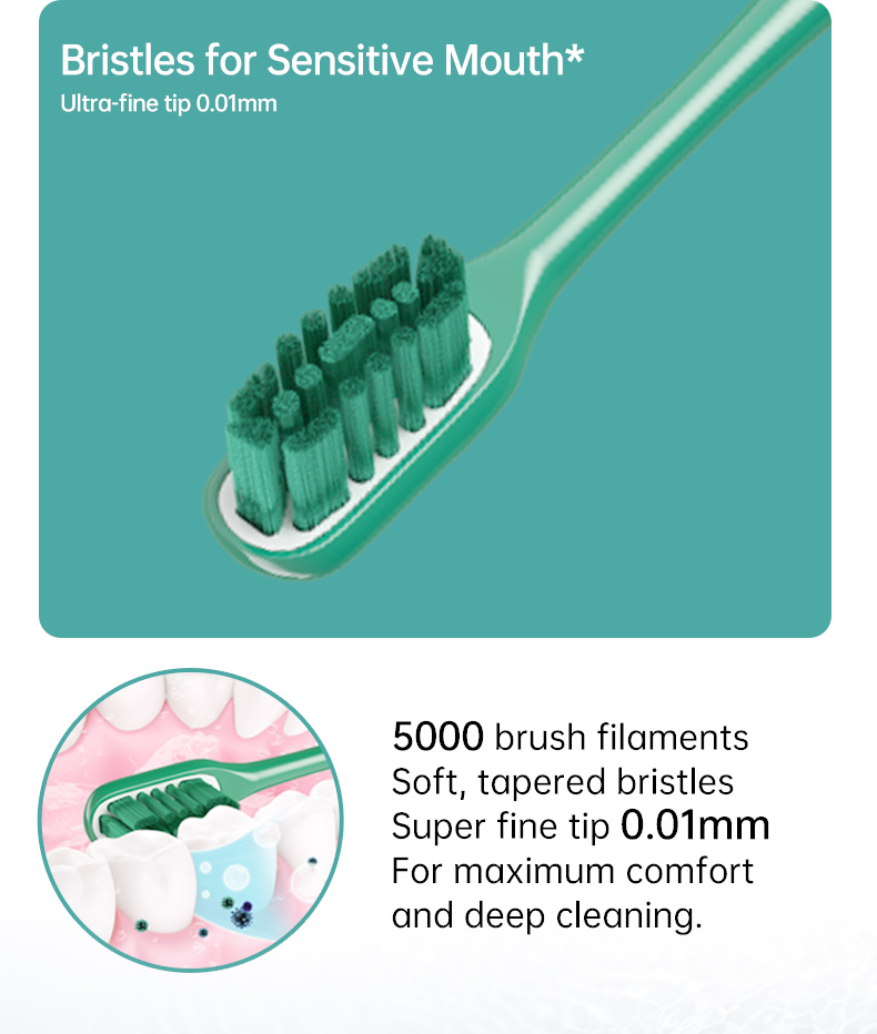 usb rechargeable electric toothbrush